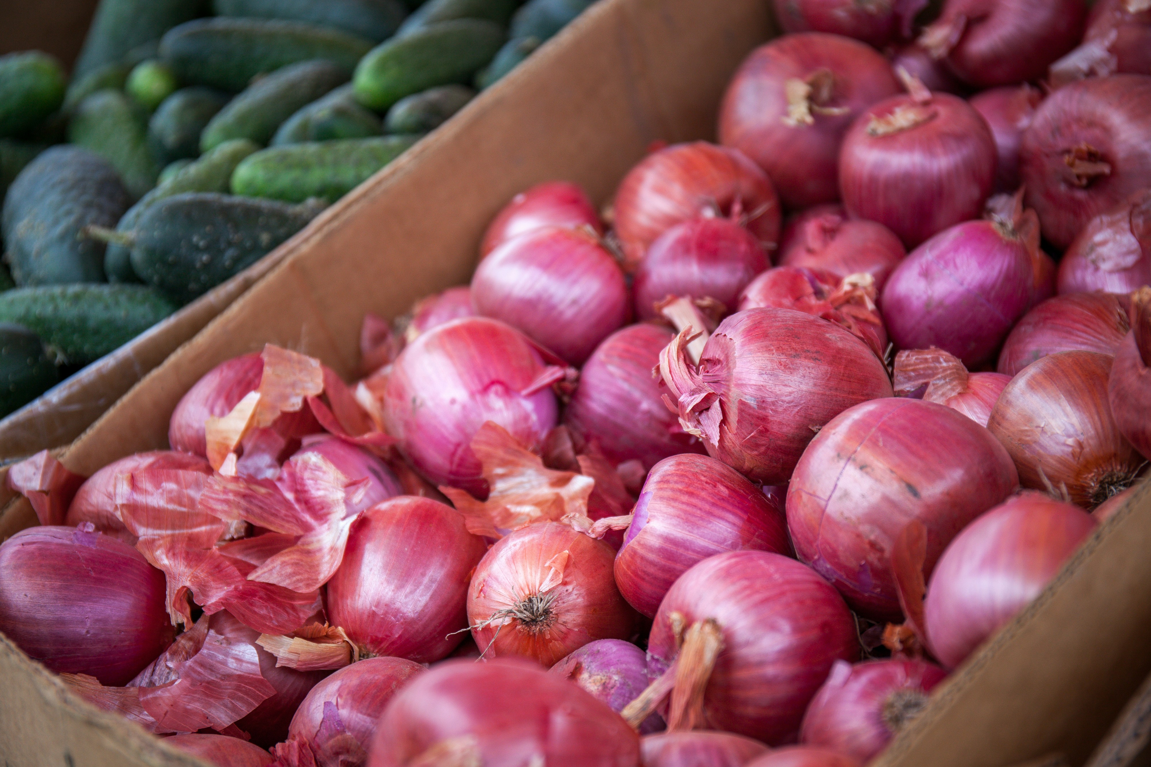 Onion