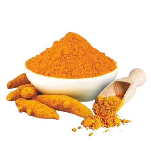 Turmeric Manufacturer in India