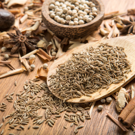 cumin seeds manufacturer in India
