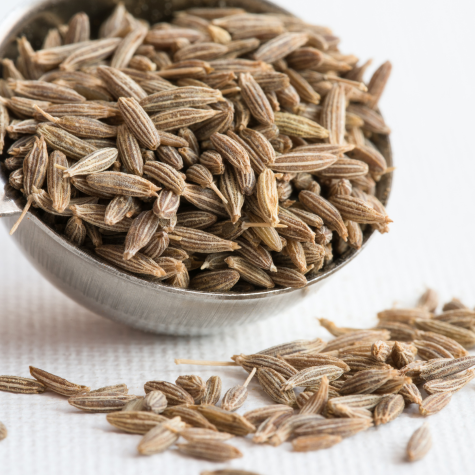 Cumin Seeds Exporter from India