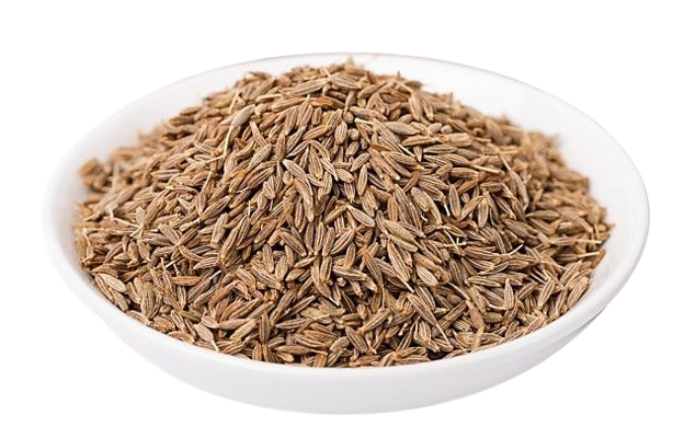cumin seeds exporter from India