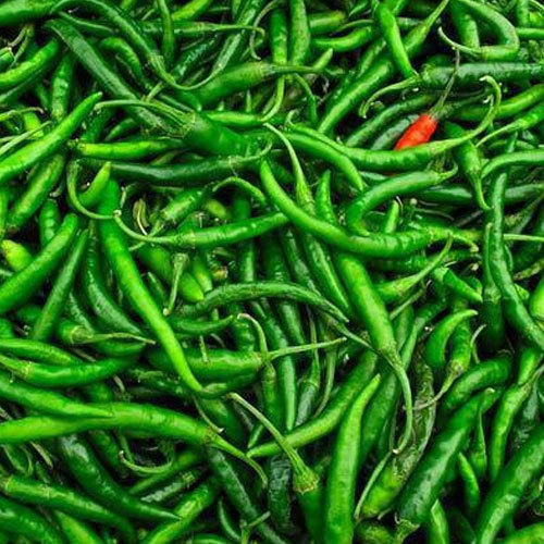 green-chilli